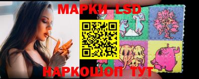 гидра Нальчик