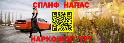 гидра Нальчик