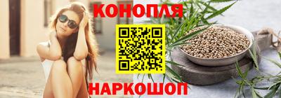 гидра Нальчик