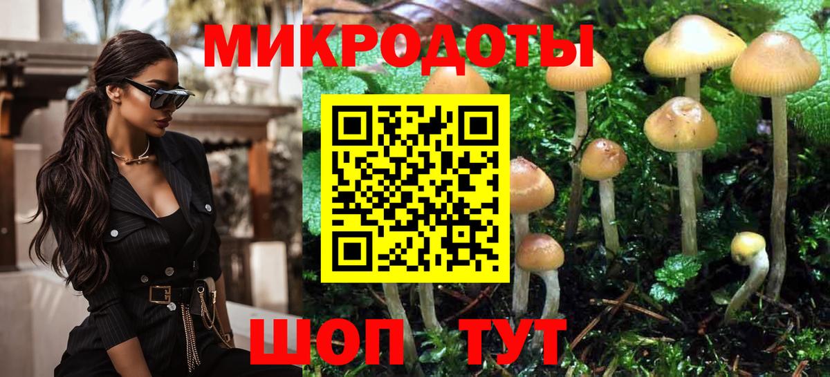 Галлюциногенные грибы Cubensis Торжок